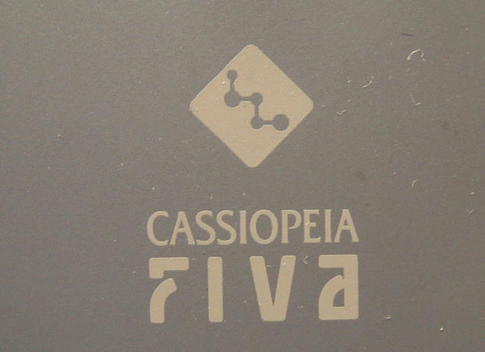 CASIO FIVA 101